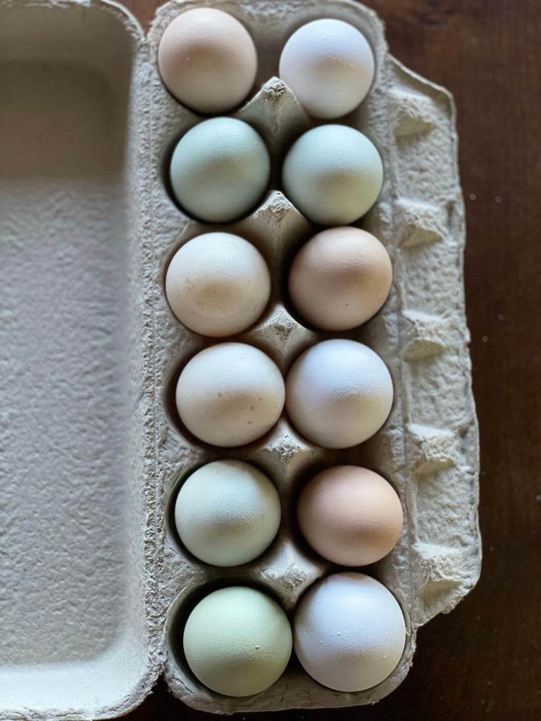 Pasture-Raised Chicken Eggs – Bali Family Farm