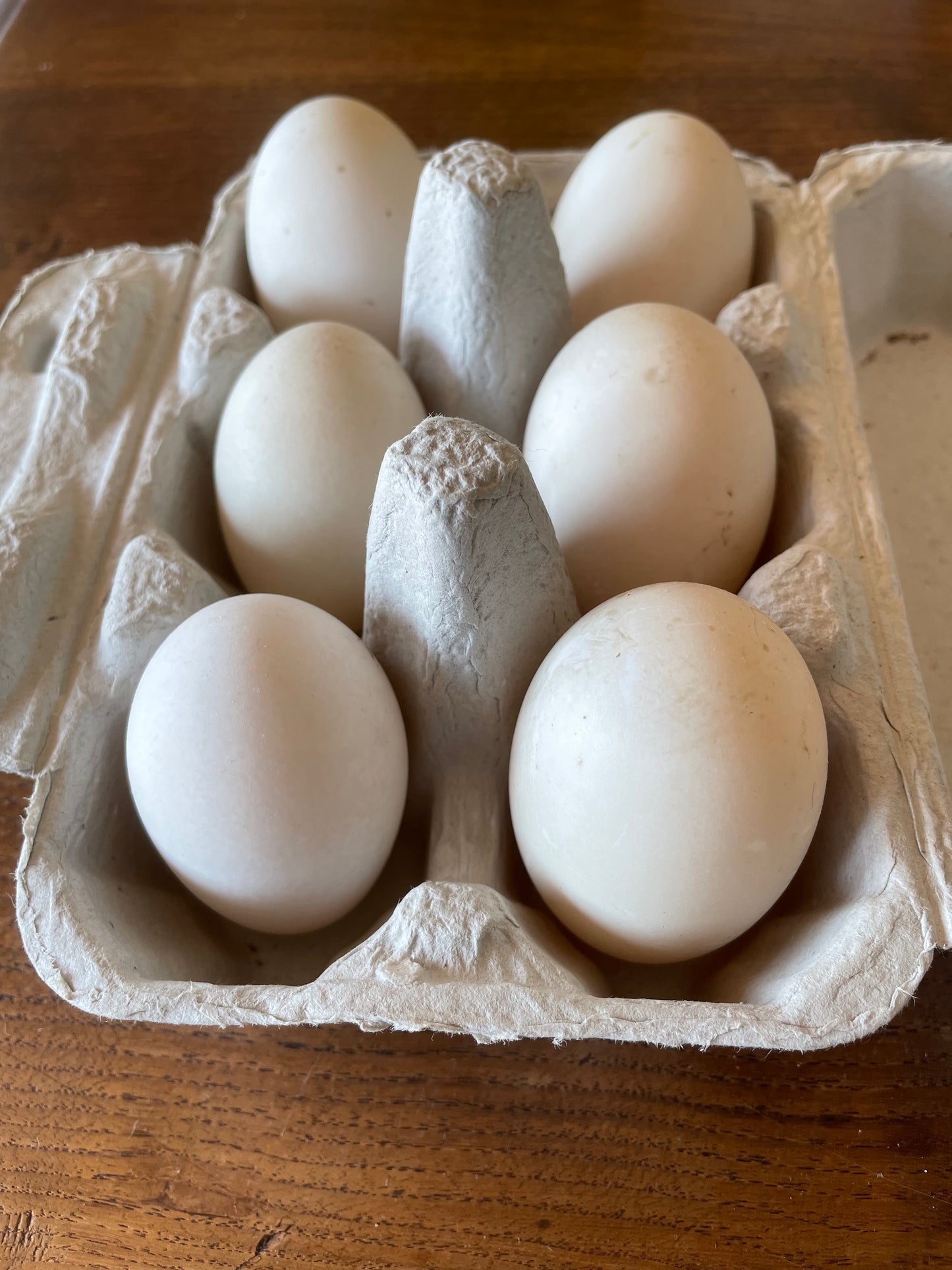 Pasture-Raised Duck Eggs (half dozen)